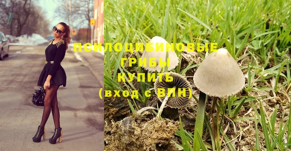 соль ск Михайловка