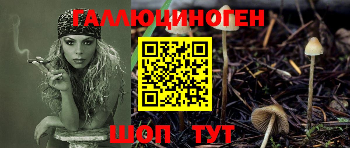 наркота  Галлюциногенные грибы Magic Shrooms  Вход с VPN  Нефтекамск 