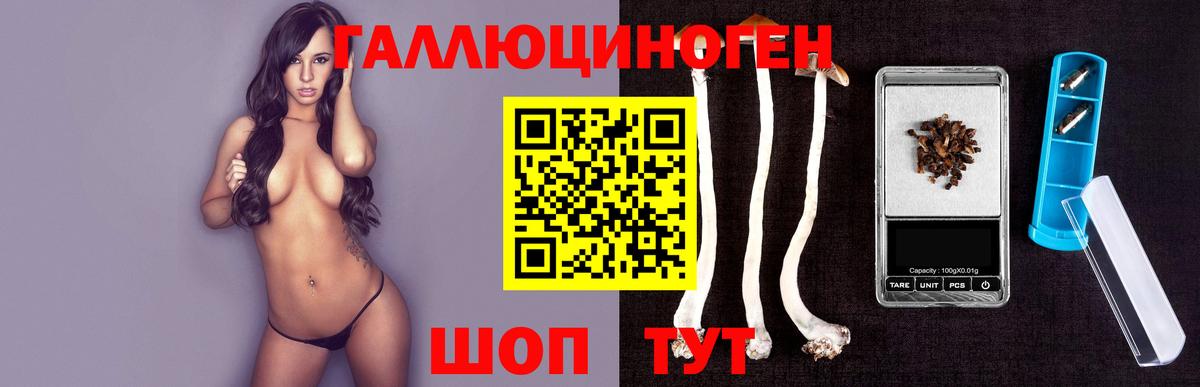 где найти наркотики  Нефтекамск  Галлюциногенные грибы Psilocybine cubensis 