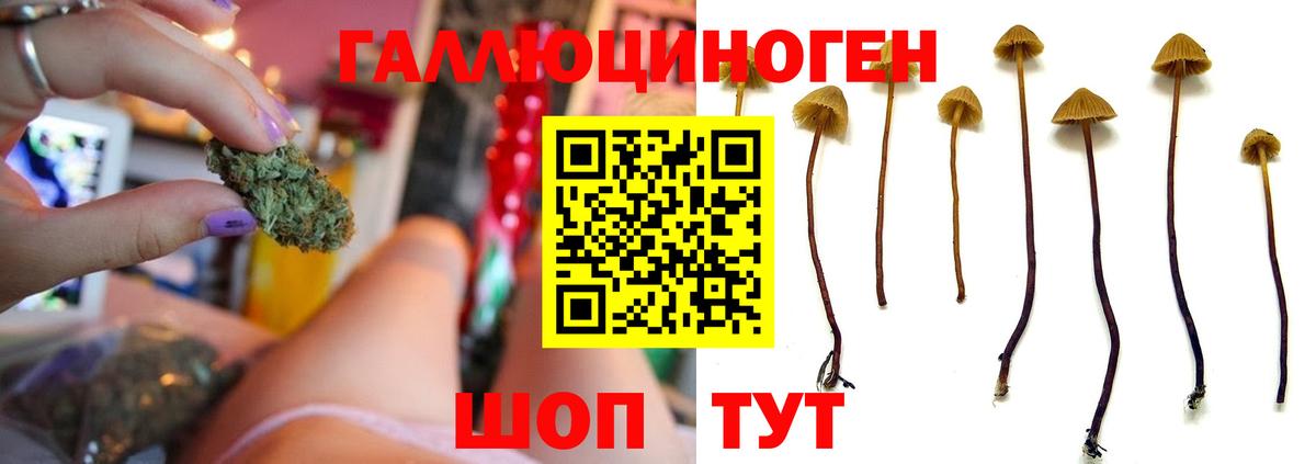 Нефтекамск  Меф кристаллы  COCAIN  Амфетамин   MDMA  ГАШ  Марихуана  Кодеин 